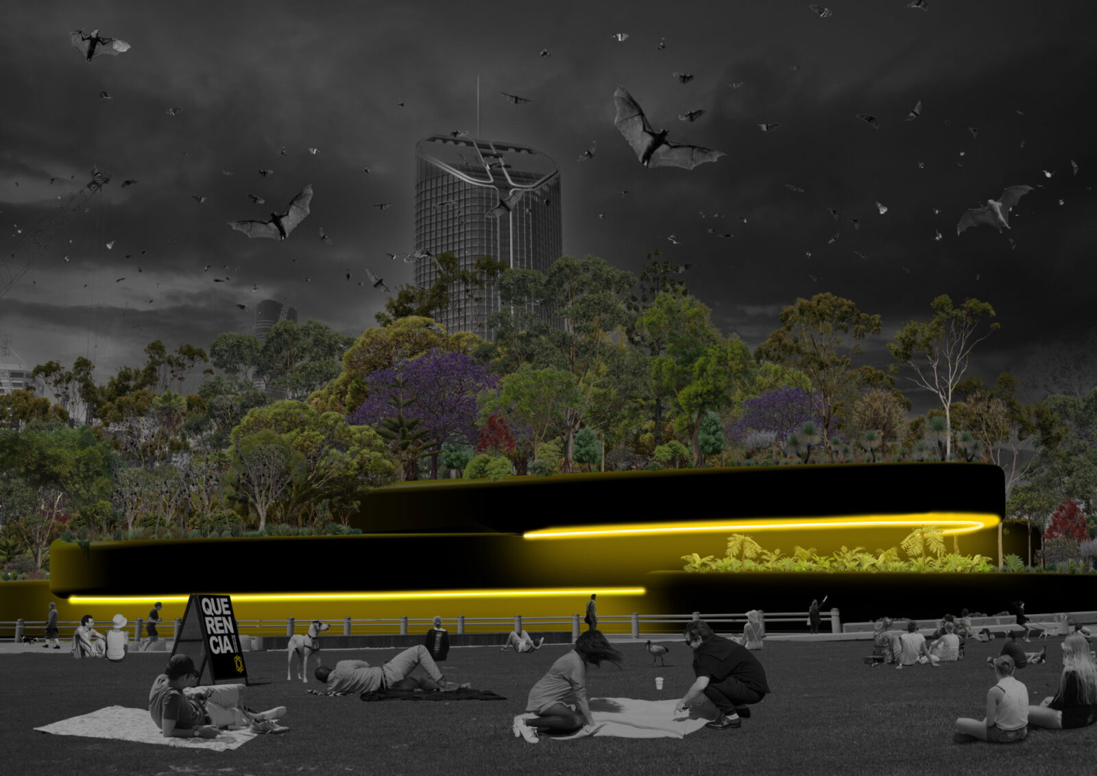 Community members sit and gather on the lawn at Riverside Green, Southbank, to watch the nightly dispersal of Grey-headed Flying Foxes as they head into the night sky foraging for food.